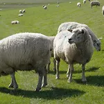 Alte Baeckerei Am Eck Faulueck